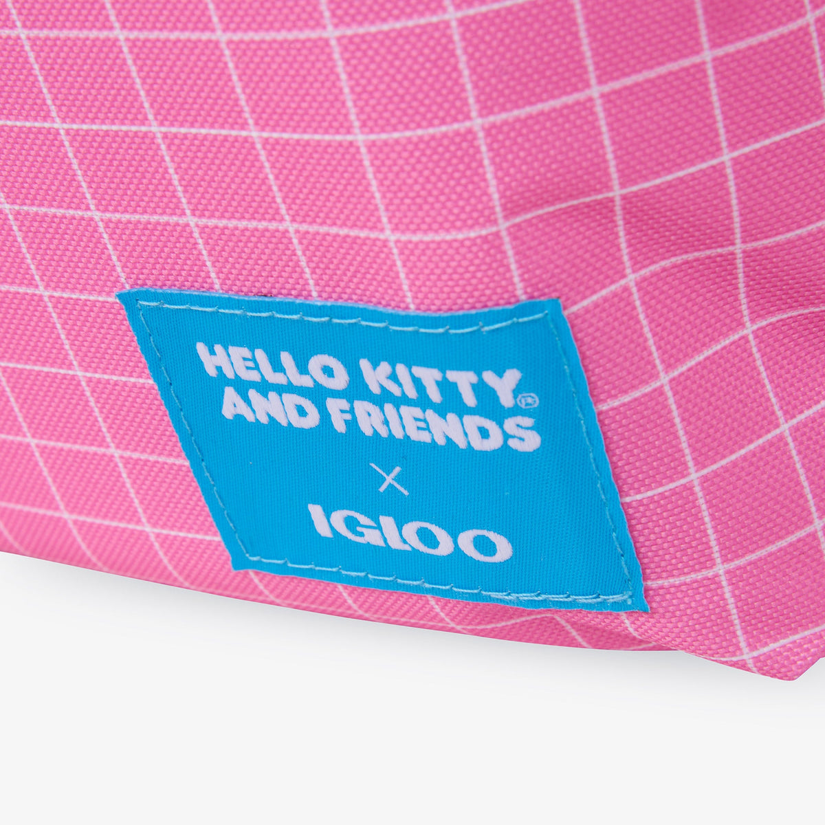 hello-kitty-and-friends-bff-mini-convertible-backpack-cooler-n6 00027591-L.jpg