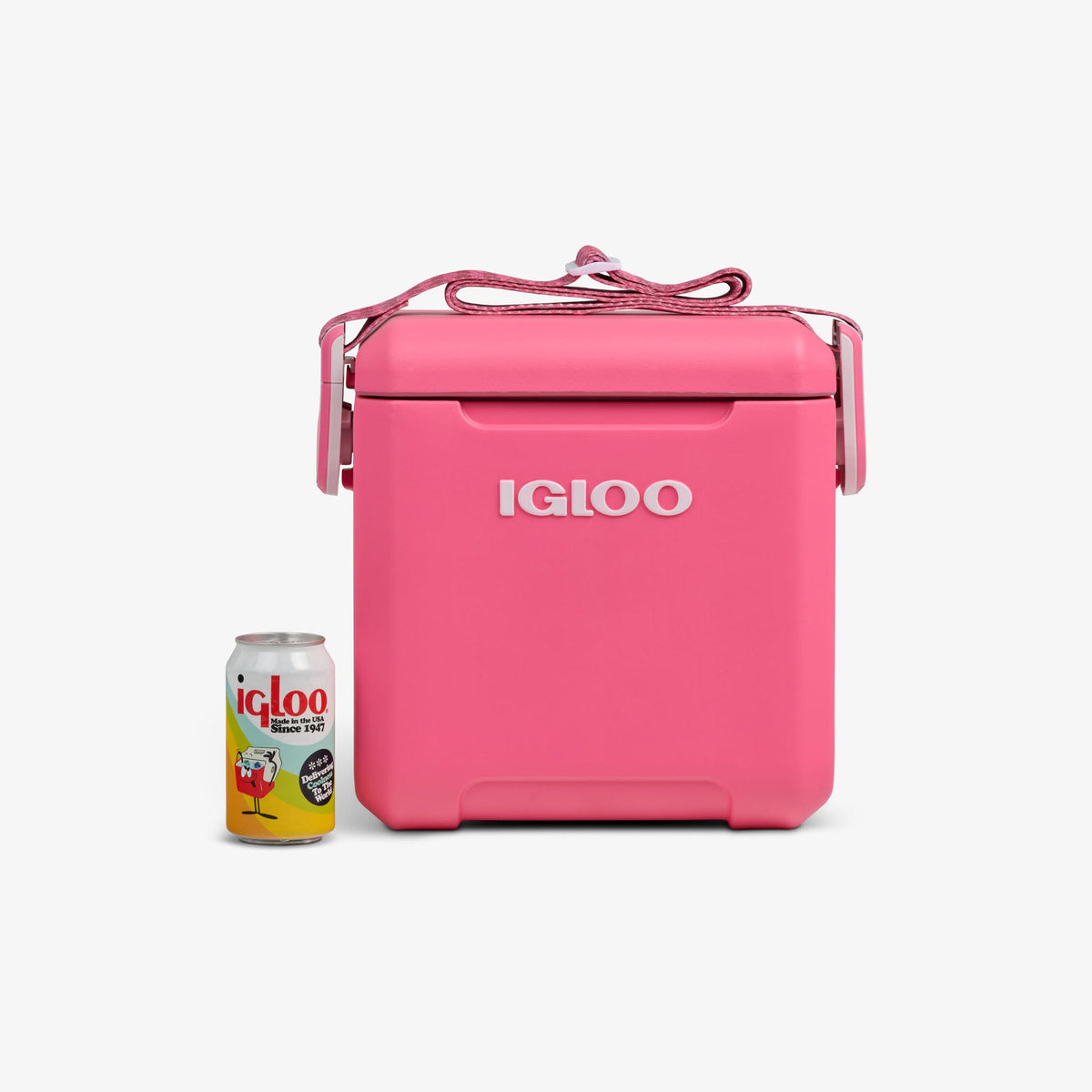tag-along-too-remix-cooler-f2 00033199-P_861a5cd2-f15c-4217-a471-e33cc3890d9e.jpg