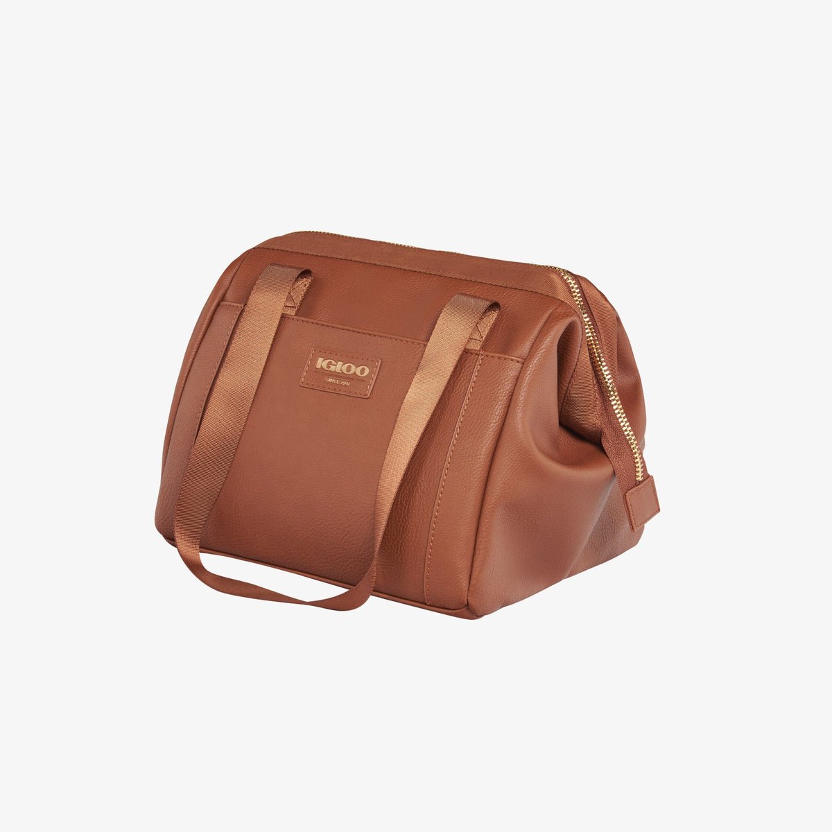 igloo-luxe-lunch-tote-cooler-bag-z6 00061160_2.jpg